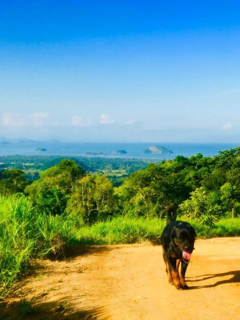 Eco Chales Caminho Das Aguas Barra Grande  Экстерьер фото