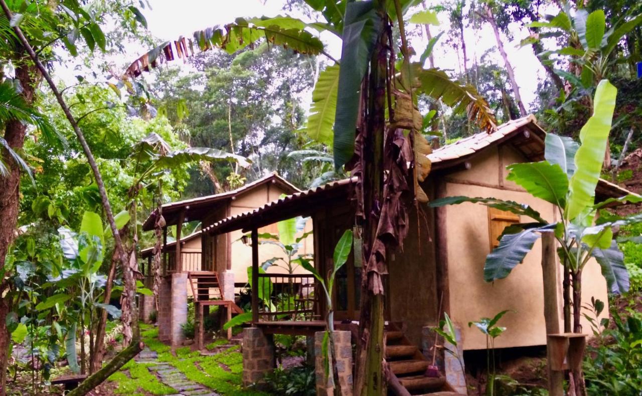 Eco Chales Caminho Das Aguas Barra Grande  Экстерьер фото